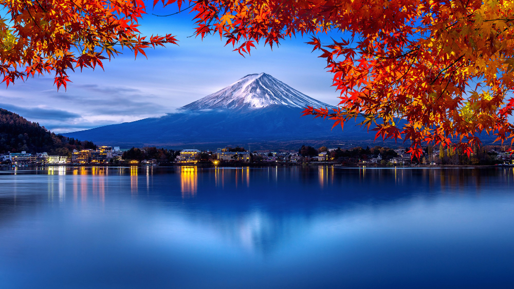 Tour to Japan